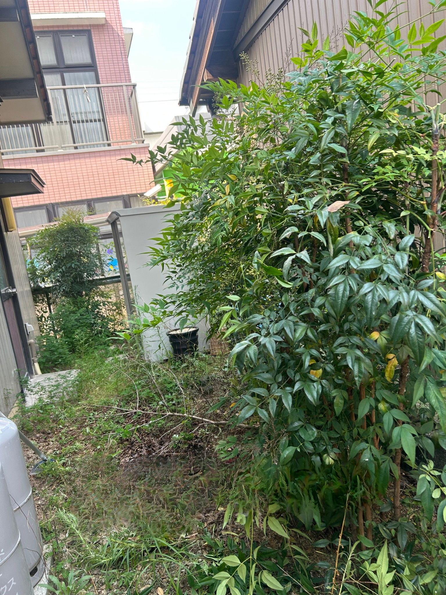 岐阜　愛知　三重　草刈り　剪定　草抜き　防草　除草　御用聞き　スマイル本舗